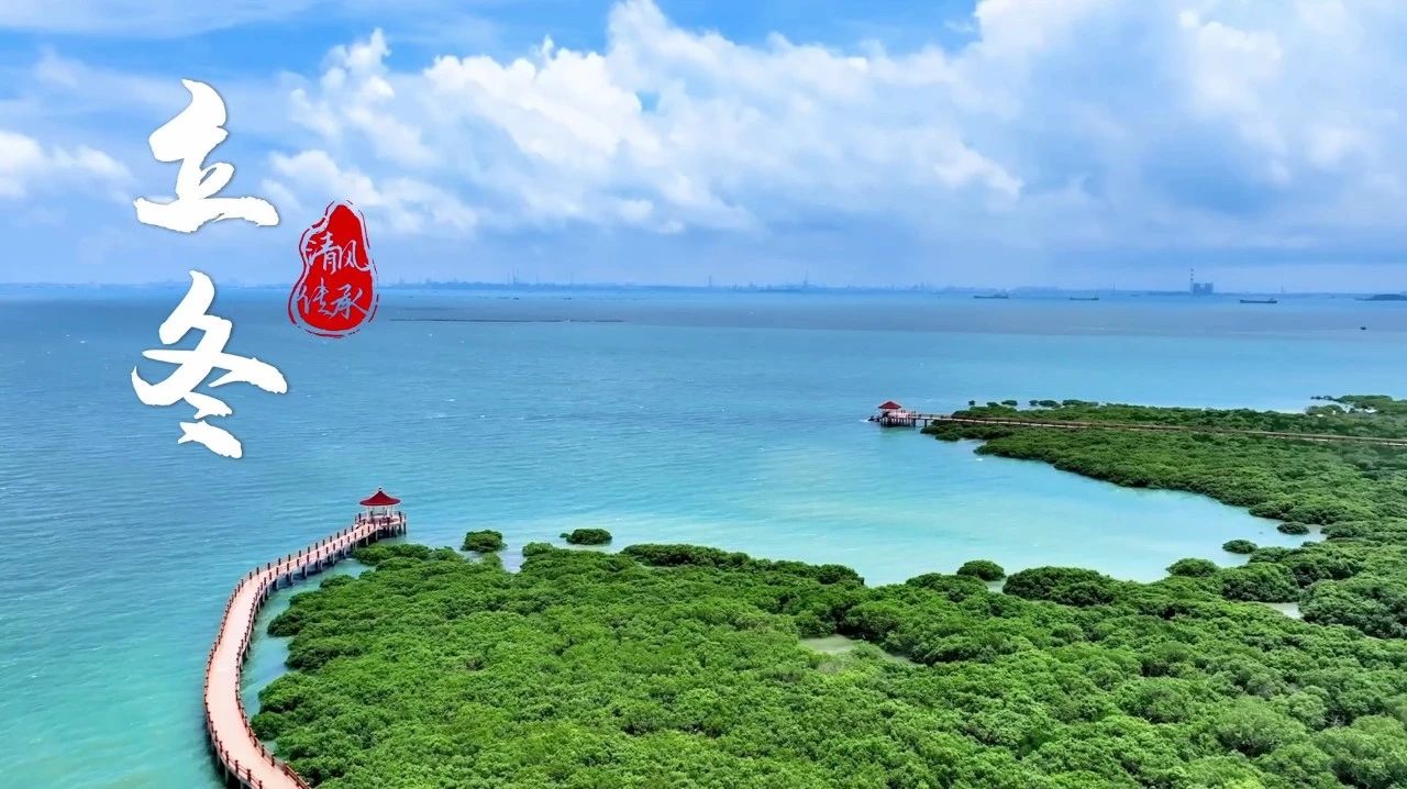 清風(fēng)·傳承丨立冬：清風(fēng)勁吹 逐綠前行